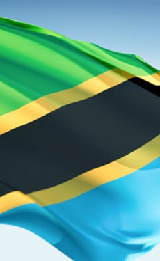 Tanzanian government working on connecting gas to cement plants