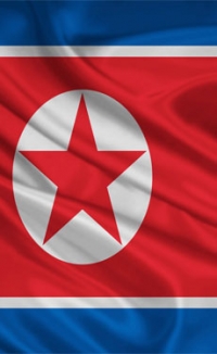 North Korean traders importing increased volumes of cement from China