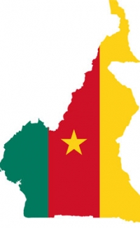 Cameroon exports nearly triple