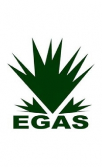 EGAS dues from National Cement plant hit US$131m