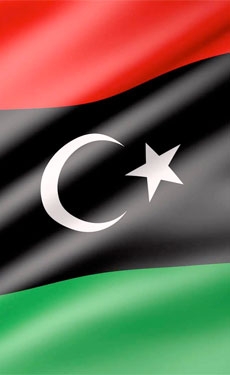 Chinese companies discuss setting up cement plants with Libyan government