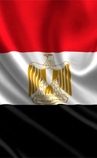 Saudi company to build bag plant in Egypt