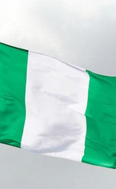 Nigerian parliament orders Obajana cement plant closure