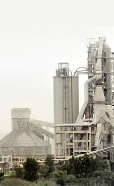 Maple Leaf considering acquisition of Pioneer Cement
