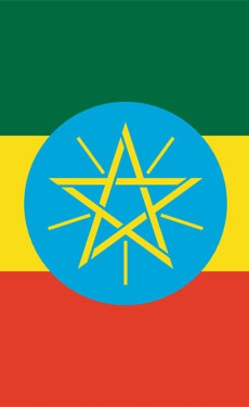 Ethiopian government intervenes on cement prices