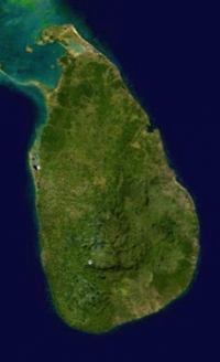 Sri Lankan government queries sale of Holcim Lanka