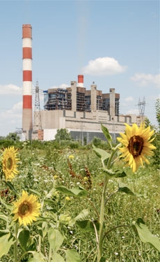 Barathi Cement commissions solar energy plant at Kadapa cement plant