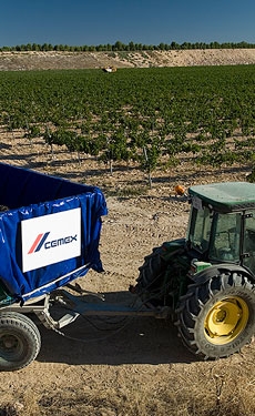 Cemex harvests olives from rehabilitated Split quarry