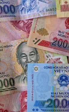 SCG sales fall 5% in Vietnam