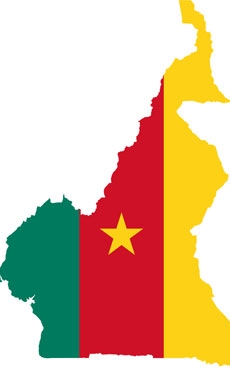 Afcham China National Consortium Material Company eyes Cameroon for 0.5Mt/yr integrated cement plant