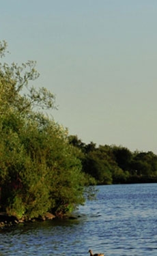 Cemex UK to sell Attenborough Nature Reserve to Nottinghamshire Wildlife Trust