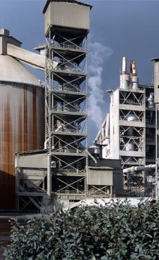 Cementos Portland Valderrivas Alcalá de Guadaíra cement plant celebrates Healthy Week