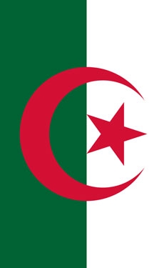 Algerian Ministry of Trade plans to export cement surplus