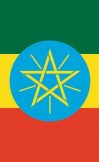 Inchini Bedrock Cement faces US$10m tax bill from Ethiopian authorities