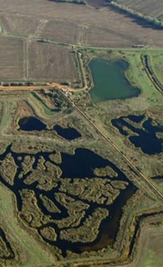 Hanson announced Ouse Fen nature reserve expansion