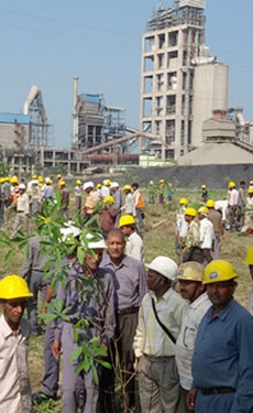 Heidelberg Cement India to build cement plant at Sant Singaji power plant