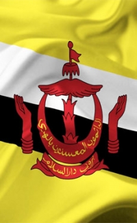 Brunei modifies cement import process