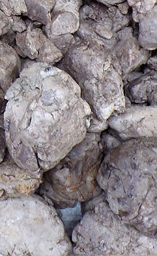 Gebr. Pfeiffer to install vertical roller mill for clay grinding in Ivory Coast