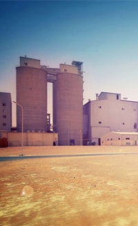Najran Cement’s net profit drops by over half in 2016