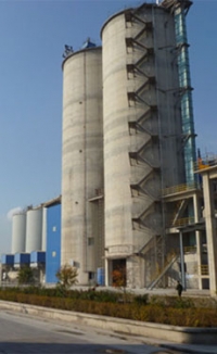 Tianrui Cement half-year revenue benefits from price rises