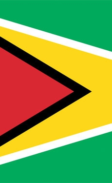 Guyanese officials meet Cementos Cienfuegos representatives