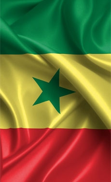 Aliko Dangote meets Senegalese President to discuss investments