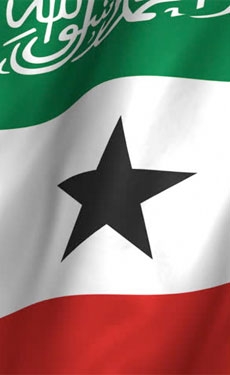 MSG Group and Bedeschi agree to build plant in Somaliland