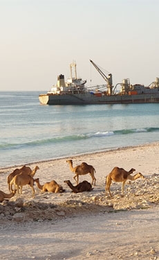Former Raysut Cement ship removed from coast of Oman