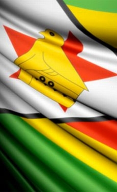 Zimbabwe eases import regulations amid high demand