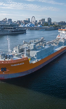 MV Tamarack cement carrier completes maiden journey on Great Lakes