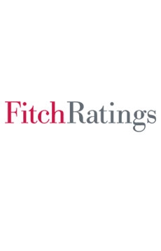 Fitch Ratings does not expect decarbonisation measures to hit cement company profits in the medium term