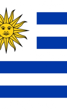 Uruguayan government invites bids for ANCAP