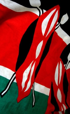 Kenyan government working on rescue strategy for EAPCC