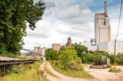 With 60 years of history behind it, the plant now offers a unique mix of habitats for wildlife to colonise.