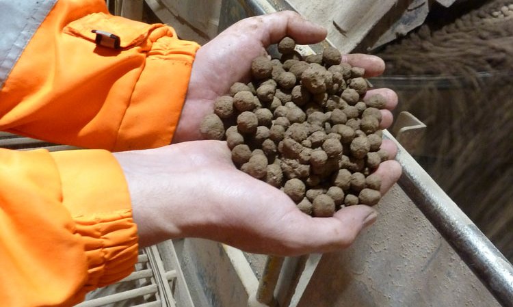 Nodules held in the hand for scale.
