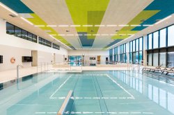 Acoustic WWCB ceiling panels in an indoor swimming pool. Source: Troldtekt, Denmark.