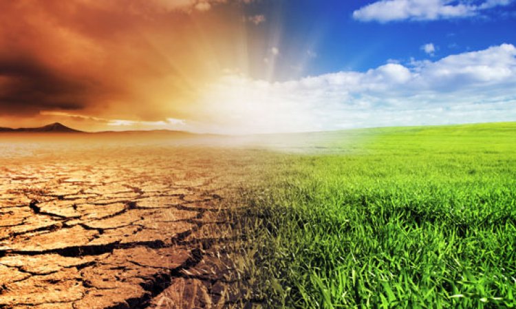 The cumulative effects of atmospheric CO2 make speed crucial in the race to net zero. Source: Shutterstock.