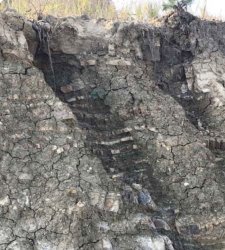 Figure 3: The flysch formation in the clay pit is the cause of the high variability of its chemical composition.