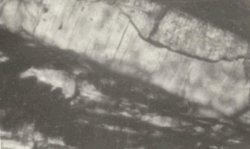 Figure 1: Optical microscopic observations of steel slag. b. Plain light, 250X Large C3S crystal.
