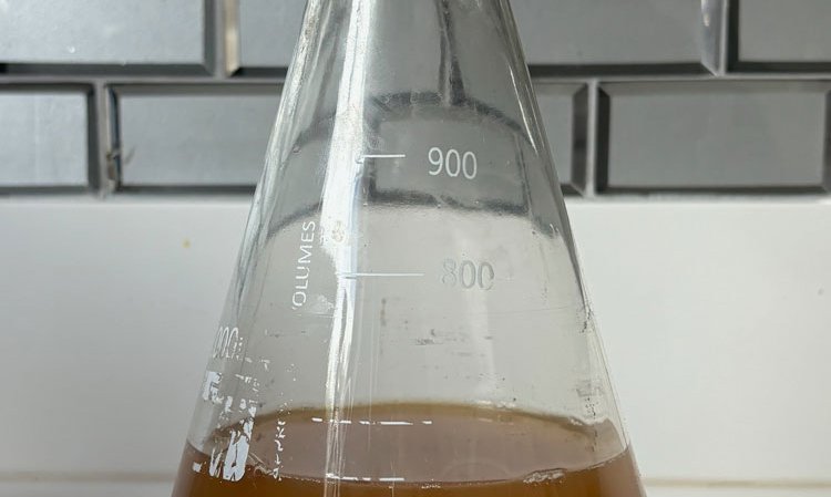 A batch of Enzymatic's patented carbonic anhydrase.
