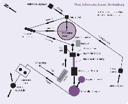 Schematic of material flows at the Essroc Martinsburg plant.