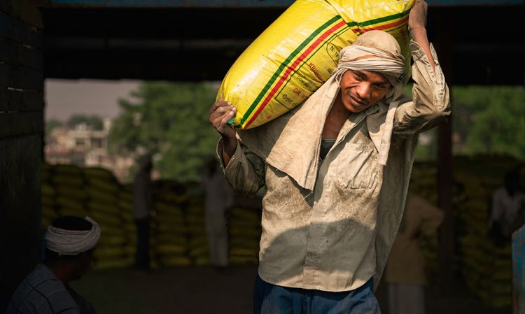 A construction worker unloads bagged cement from a train in Mathura, Uttar Pradesh. Credit: Daniel J. Rao/ Shutterstock.