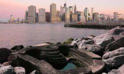 ECOncrete project at Brookyln Bridge Park in New York City, New York, US.